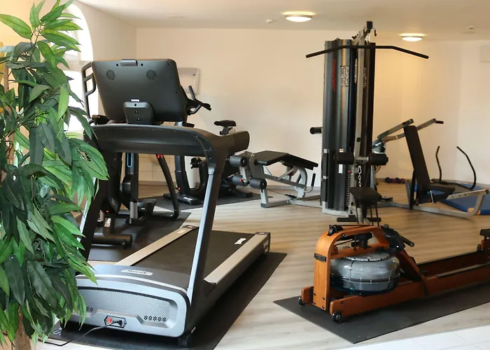 Hotel Spanischer Hof 4*