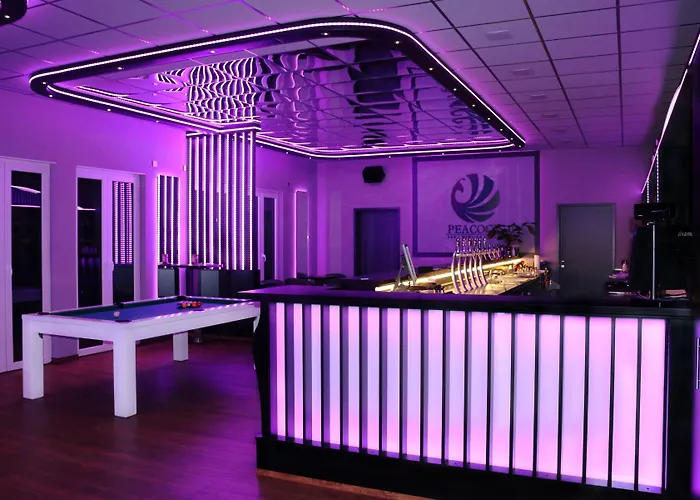 فندق Spanischer Hof