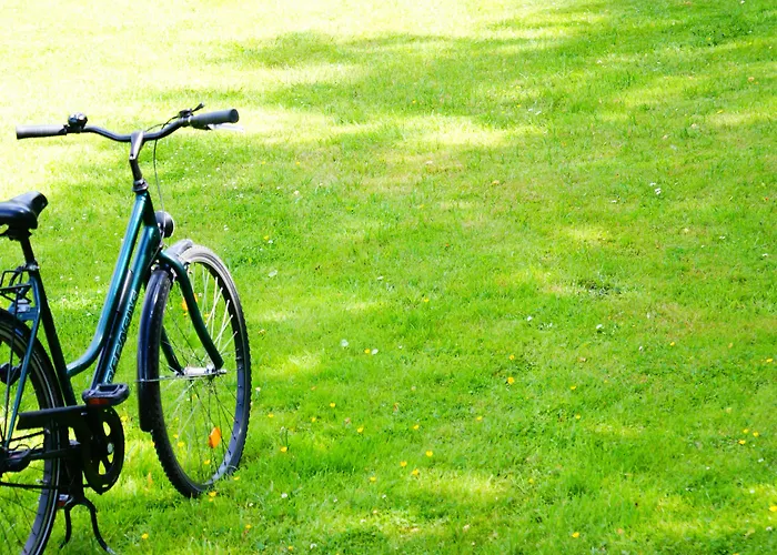 فندق Spanischer Hof